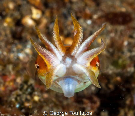Tongue!!! by George Touliatos 
