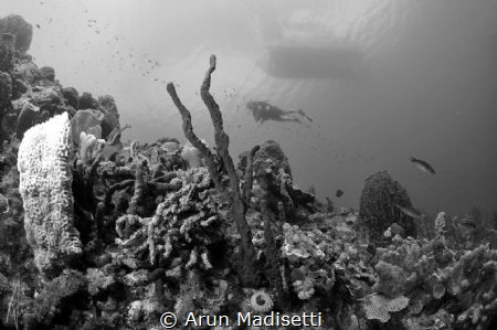 under the boat. by Arun Madisetti 