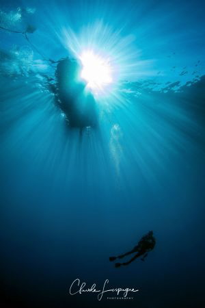 undersun ! by Claude Lespagne 