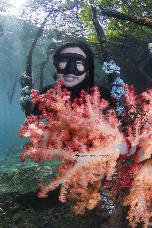 Exploring the mangroves of Raja Ampat by Suzan Meldonian 