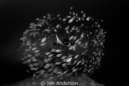 Centrality by Jon Anderson 