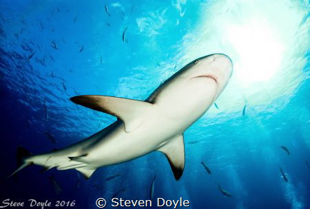 Exuma Cays Bahamas by Steven Doyle 