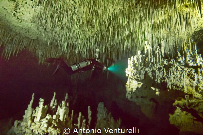 stalactites hang from the ceiling of a tropical cave by Antonio Venturelli 