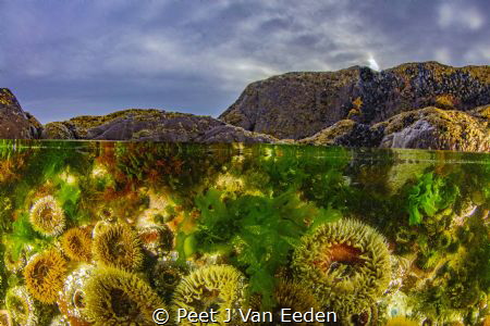 Subdued sunset in contrast with the rich colors of the un... by Peet J Van Eeden 