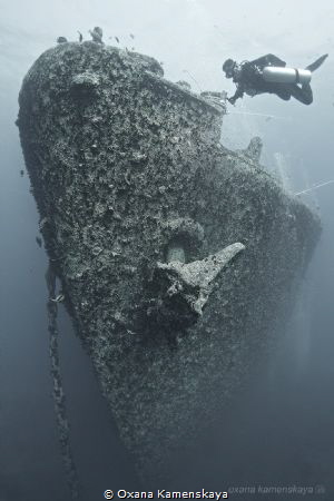 Thistlegorm by Oxana Kamenskaya 