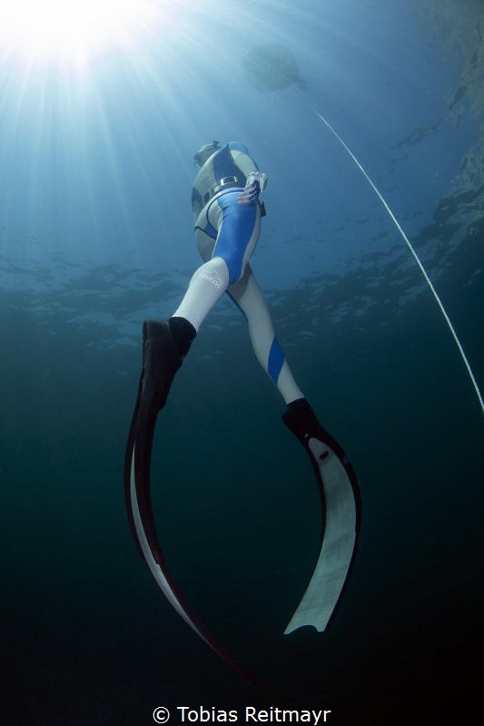 Freediver on ascent by Tobias Reitmayr 