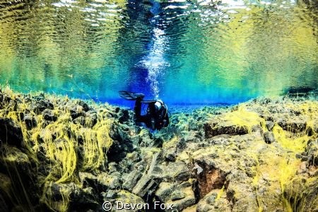 Land of fire and ice/ A diver exploring Iceland's incredi... by Devon Fox 