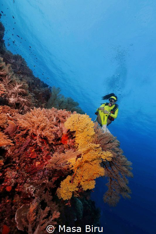 perfect colors by Masa Biru 