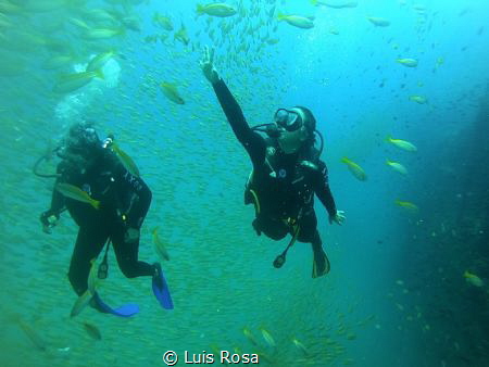 HTMS CHANG dive site. by Luis Rosa 