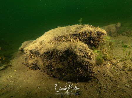Just a earthblock some where by Eduard Bello 