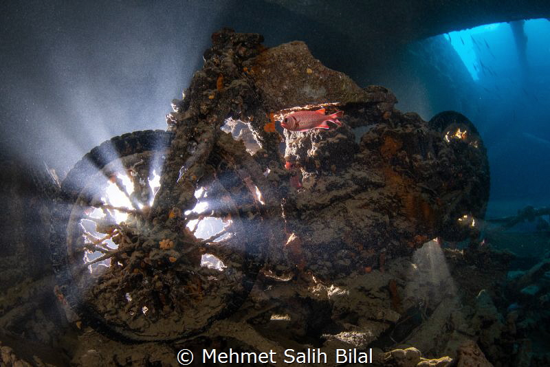 Famous motorbike in Thistlegorm with a soldierfish  at 5.... by Mehmet Salih Bilal 