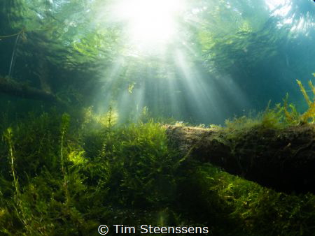 Lightshow in a pond near Antwerp (Put van Ekeren). by Tim Steenssens 