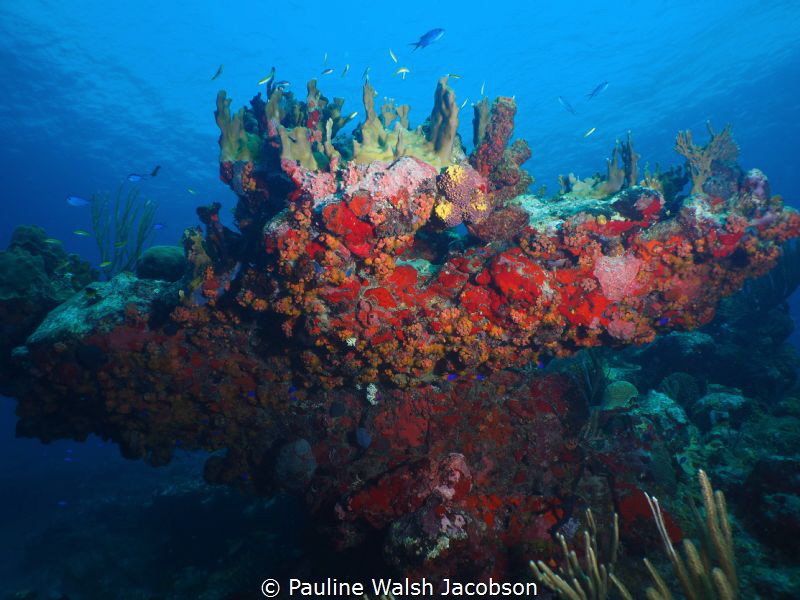 Dog Rocks, U.S. Virgin Islands by Pauline Walsh Jacobson 