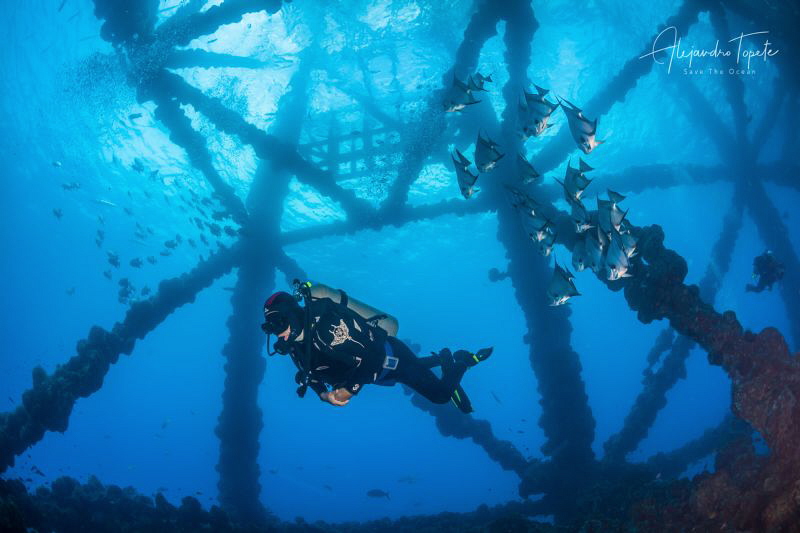 Oil Platform with Diver, Plataforma Tiburon, México by Alejandro Topete 