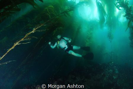 Texas + Beer + Cold Water Diving = This. by Morgan Ashton 