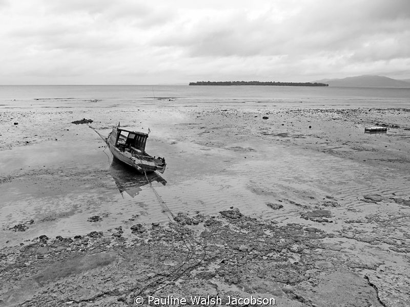 Low Tide, Bunaken Island, Indonesia by Pauline Walsh Jacobson 