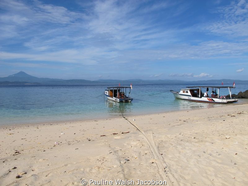 Getting the boats ready for the morning dive, Bangka Isla... by Pauline Walsh Jacobson 