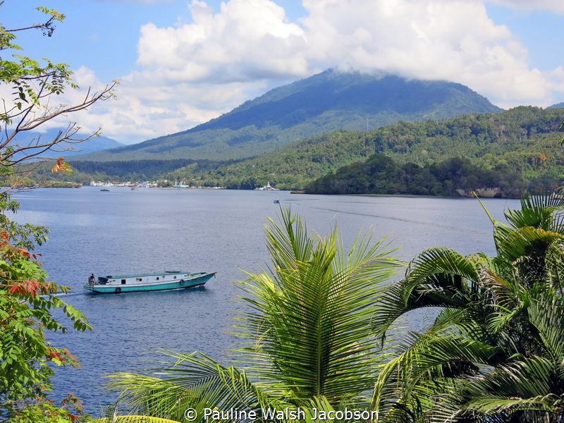 Lembeh Strait, North Sulawesi, Indonesia by Pauline Walsh Jacobson 