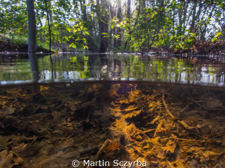 a morning in spring by Martin Sczyrba 