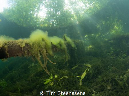 °green is beautiful°   Put van Ekeren by Tim Steenssens 