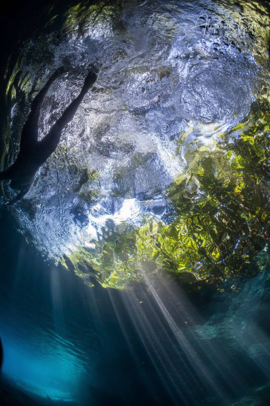 Swiming in the River, Las Estacas México by Alejandro Topete 