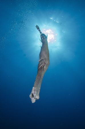 Another shot from Tenerife by Graham Watters 