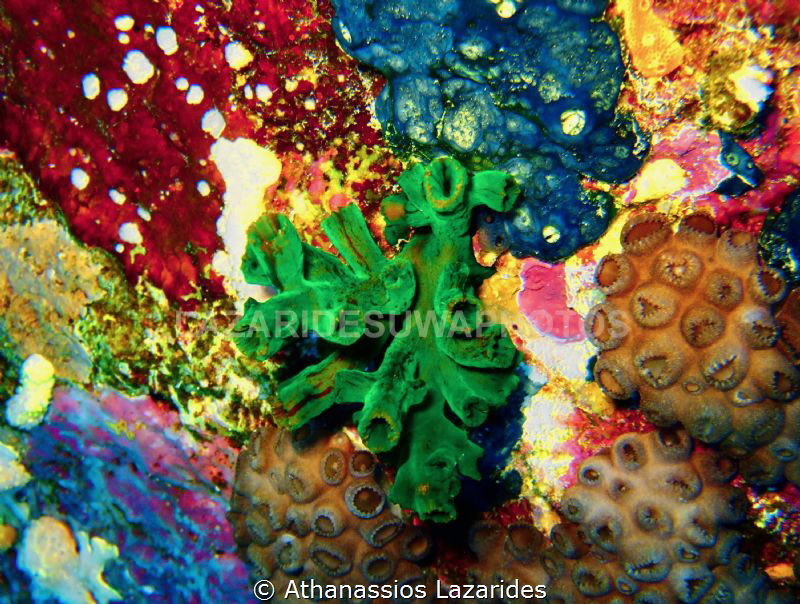 Colourful cave wall by Athanassios Lazarides 