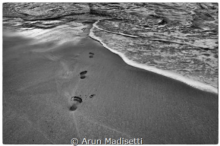 Someday, we're all going to dive. Global warming is not a... by Arun Madisetti 