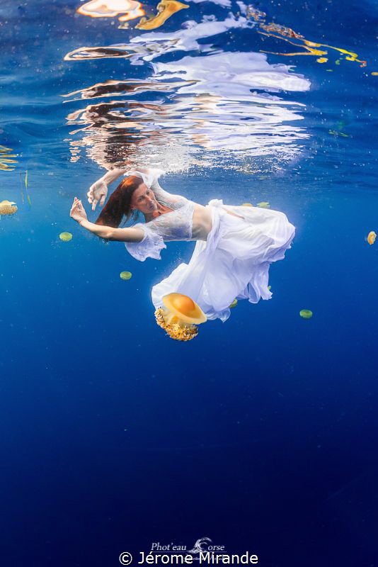Jelly fish dance by Jérome Mirande 