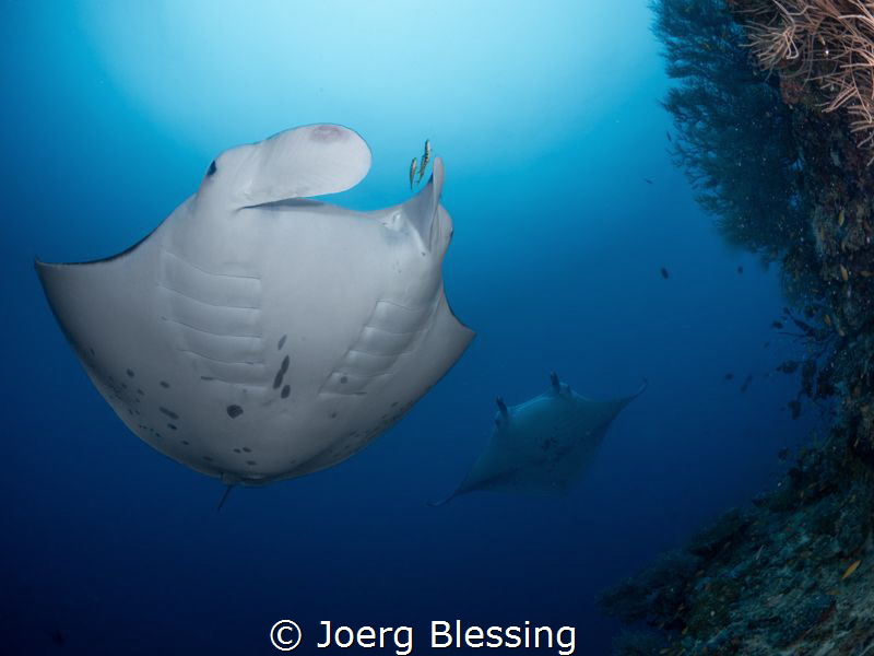 cleaning time by Joerg Blessing 