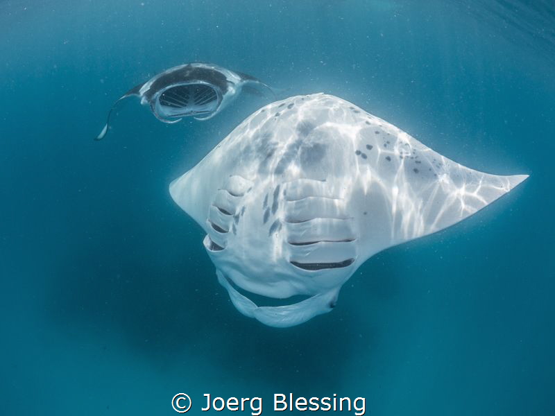 Barrel rolling by Joerg Blessing 