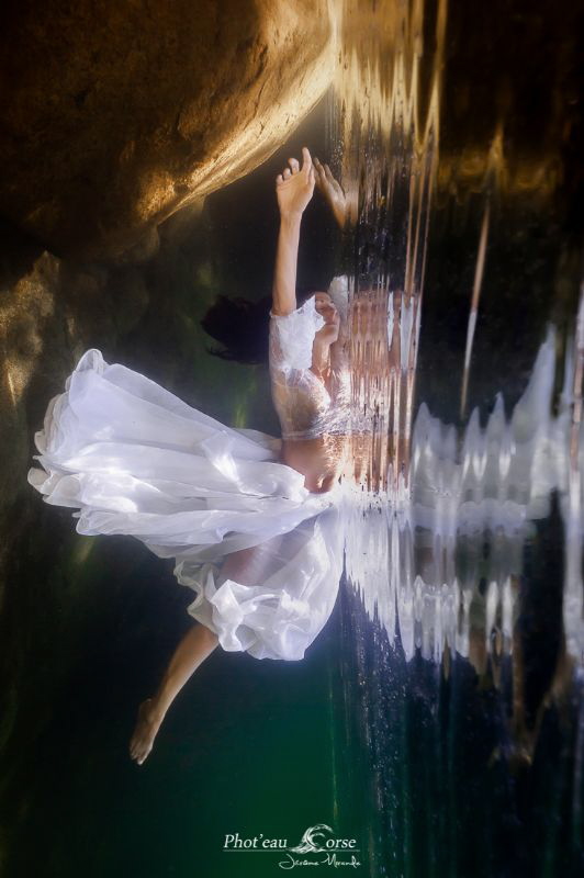 acquatic dream by Jérome Mirande 