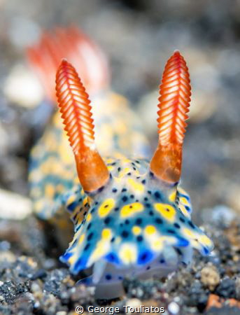 Bokeh Nudie!!! by George Touliatos 