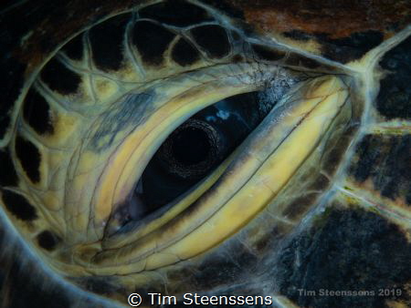 The eye of the beholder... by Tim Steenssens 