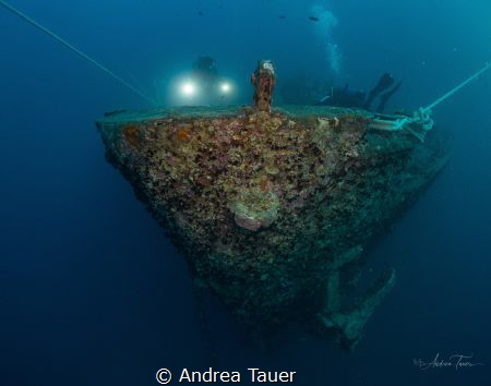 Old Lady Thistlegorm by Andrea Tauer 