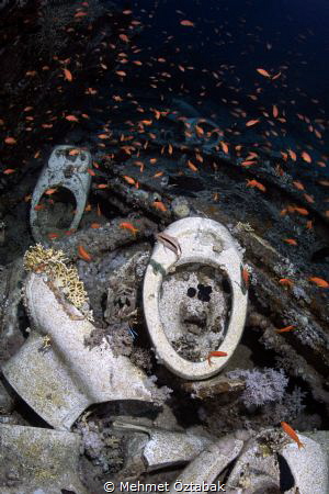 Yolanda reef / Ras Muhammet national park by Mehmet Öztabak 