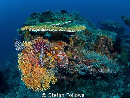 Happy Sunday

Gili Mimpang

Bali, Indonesia by Stefan Follows 