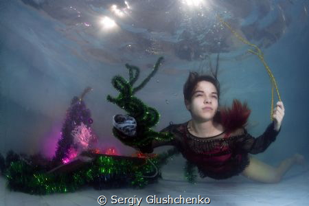Happy New Year and Merry Christmas! by Sergiy Glushchenko 