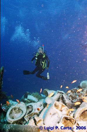 What is all this garbage??? Sharm El Shaikh, Canon eos 1n... by Luigi Carta 
