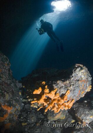 Blue Hole - What can I say, brilliant dive! by Jim Garland 