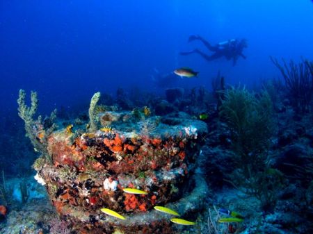 Sanctuary reef in Pampano bch FL by Becky Kagan 