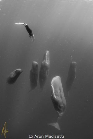 taken under permit by Arun Madisetti 