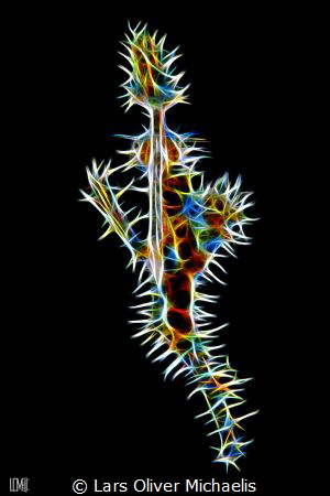 ghostpipefish
fractal filter technique by Lars Oliver Michaelis 