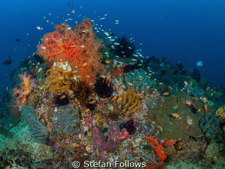 Cleaning Station

Gili Mimpang

Bali, Indonesia by Stefan Follows 