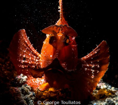Just Gloomy!!! by George Touliatos 