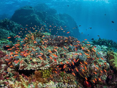 Object of Desire

Gili Mimpang

Bali, Indonesia by Stefan Follows 