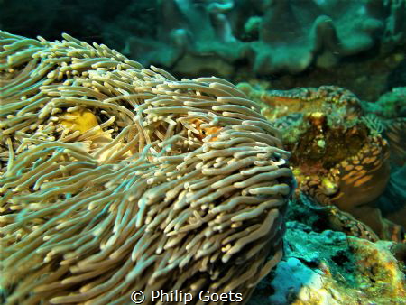ponta do ouro by Philip Goets 