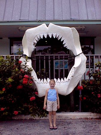 "Look at those teeth" while on a diving trip to the Fla K... by Steven Anderson 