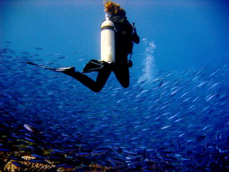 taken in apo reef by Robert Formoso 