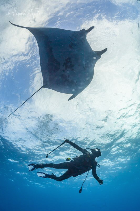 Luis & Mantaray, Roca Partida Mexico by Alejandro Topete 